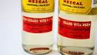 TE PREGUNTASTE PORQUE LAS BOTELLAS DE MEZCAL LLEVAN UN GUSANO EN SU  INTERIOR? – Almacen De Recetas
