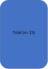 Total (n= 25)
